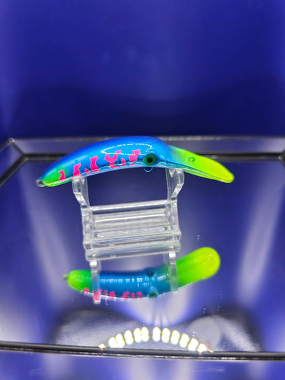 Custom Painted Mag Lips